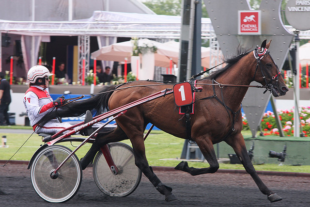 Victor Lavec Vincennes.jpg