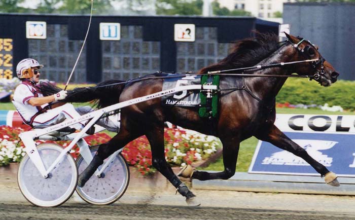 Muscles Yankee Hambo.jpg