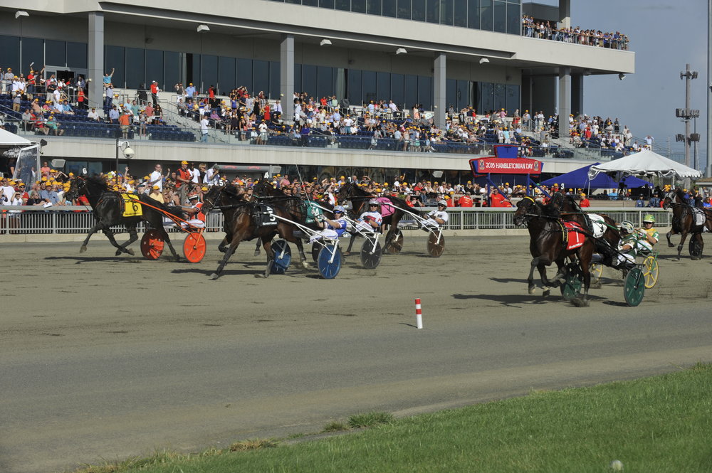 _JGS6216+Hambo+finish.jpg
