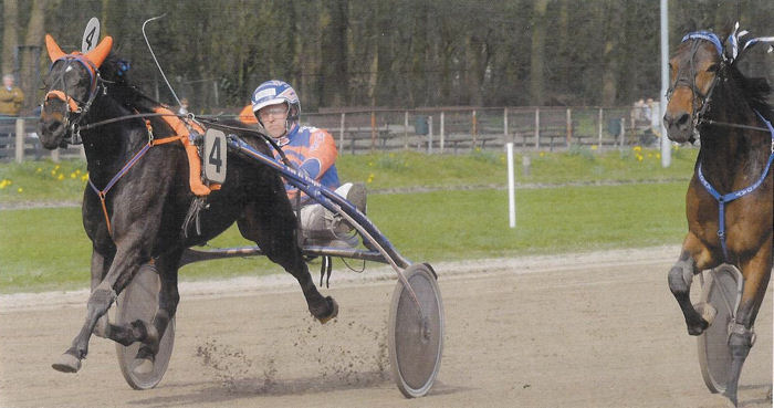 Welmoed Landerije 5-j plus Stakes 2011.jpg
