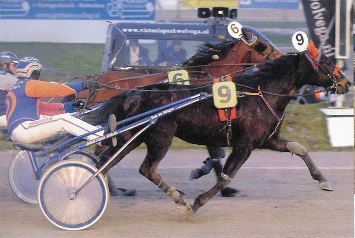 Welmoed Landerije WKamp Stayers 2011.jpg