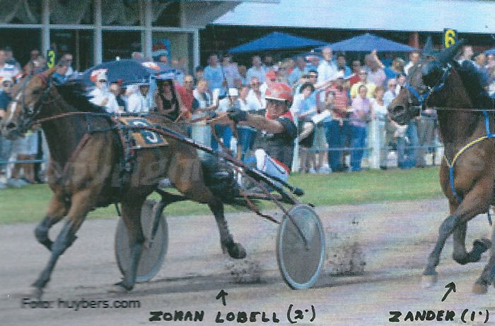 Zander SwSt a.jpg
