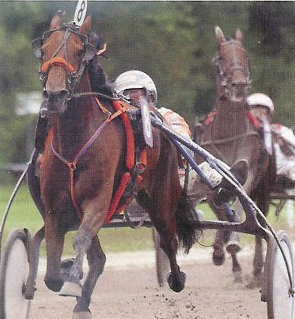 Zorba Oldeson Crit 4-jari.jpg