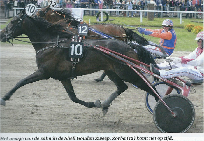 Zorba Oldeson GZ 2013 a.jpg