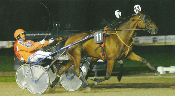 Zorba Oldeson Stayerskamp Friesl 2015.jpg