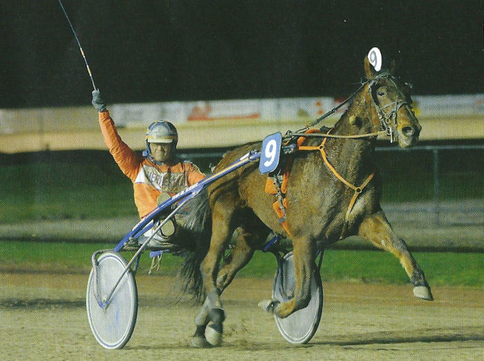 Zorba Oldeson Winterkamp Friesl 2015.jpg