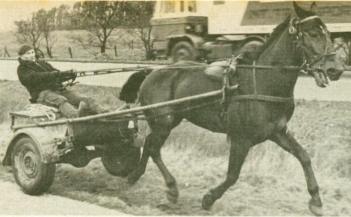 Mistral traint met Wolter.jpg