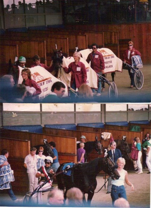 1986+Hambo.jpg