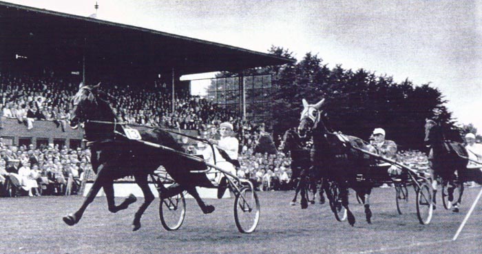 Zwolle koers.jpg