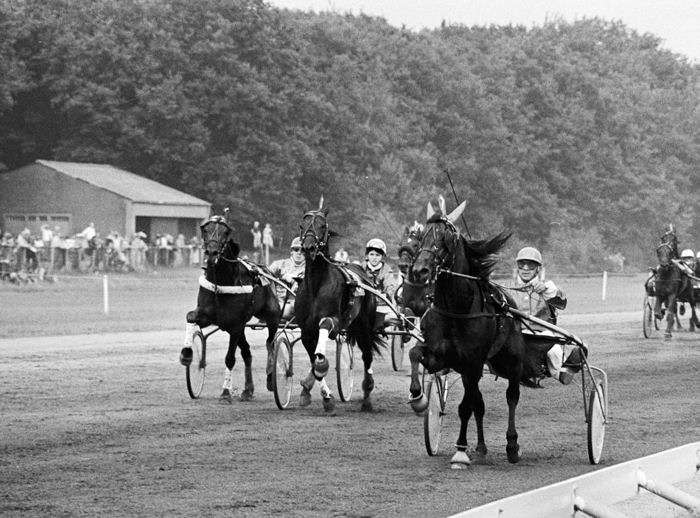 Paranoh Derby a.jpg
