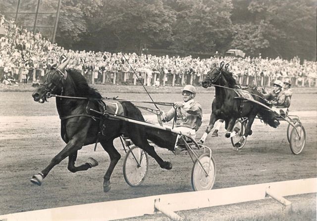 Paranoh Derby.jpg