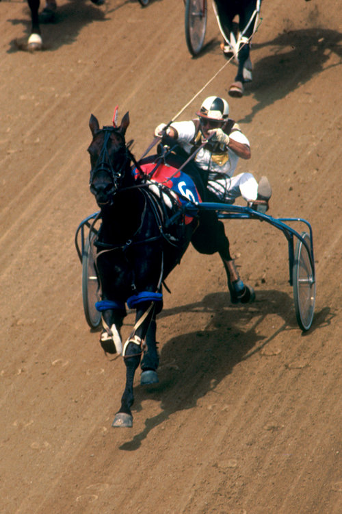79LegendHanoverc.jpg