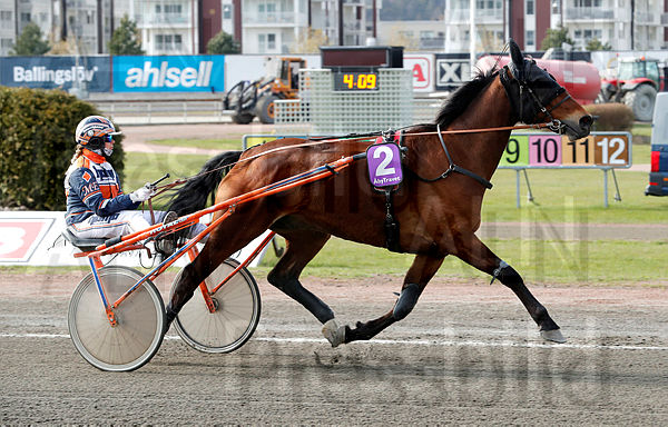 Milos Ganador heat 2.t609e828d.m600.w.4salnwmark2.png.xMXIrV_MB.jpg