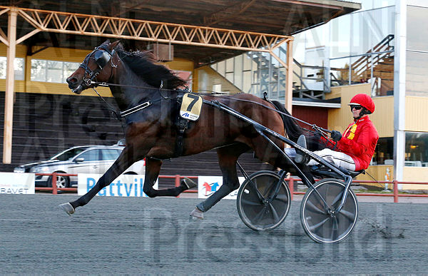 Hula Hula Sisu heat 1.t5f29bb56.m600.w.4salnwmark2.png.xOIs9zvAc.jpg