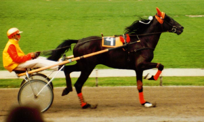 Tony Vitesse Alkmaar 1.jpg