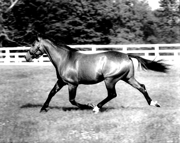 71SpeedyCrown2.jpg