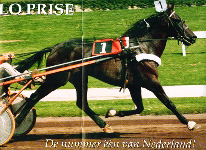 Volo Prise 2.jpg