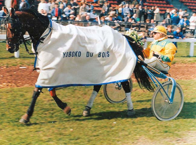Yoboko du Bois 5-4-1987 e.jpg