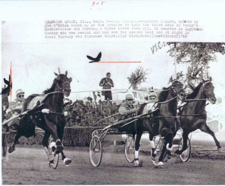65Hambo1-1+(2).jpg