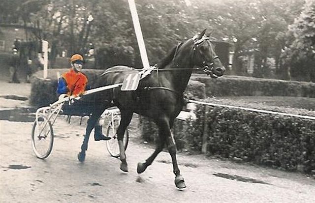 Axkit Hollandia 01.jpg