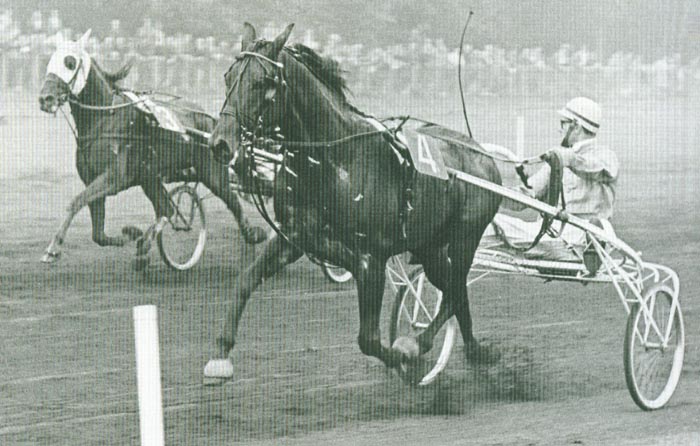 Axkit Hollandia 4.jpg
