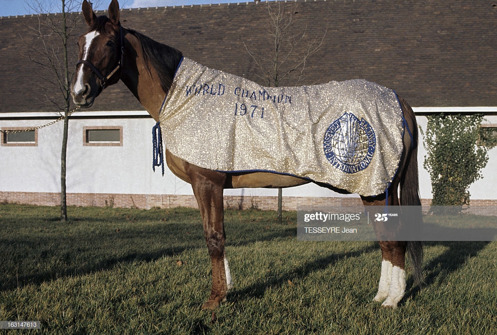 gettyimages-163147613-1024x1024.jpg
