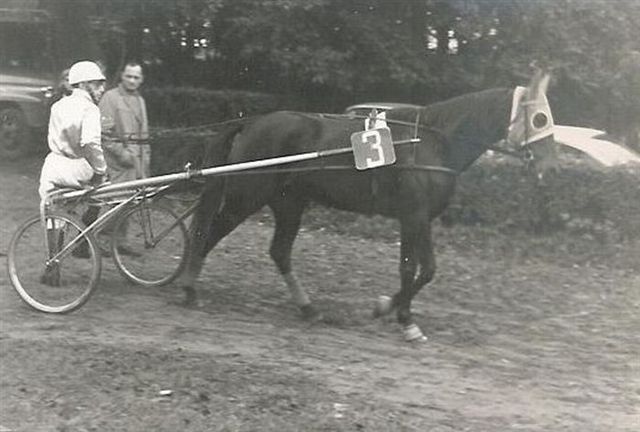 Diana R 01.jpg