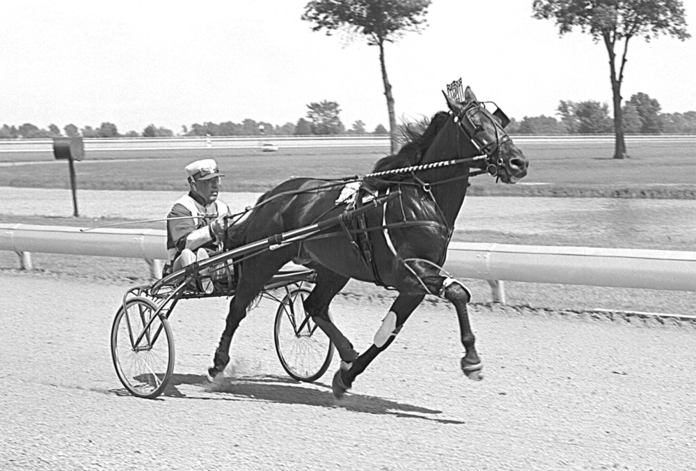 59DillerHanover.jpg