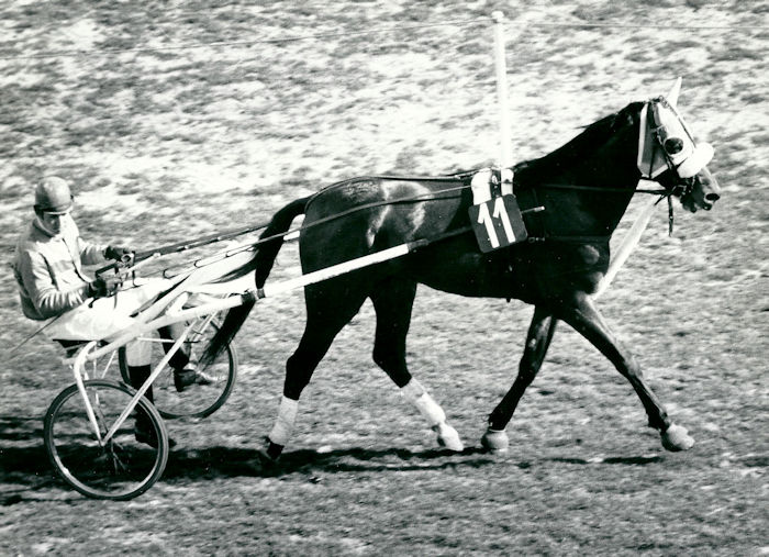 Felix 27-3-1968 e.jpg