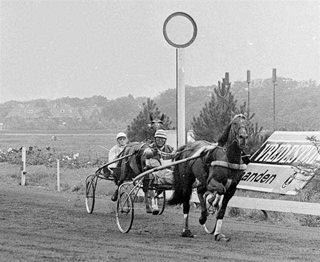 ANP Gallant Way Derby a.jpg