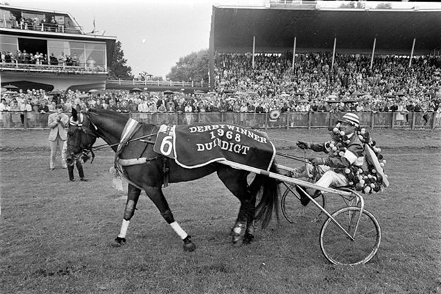 ANP Gallant Way Derby ere.jpg
