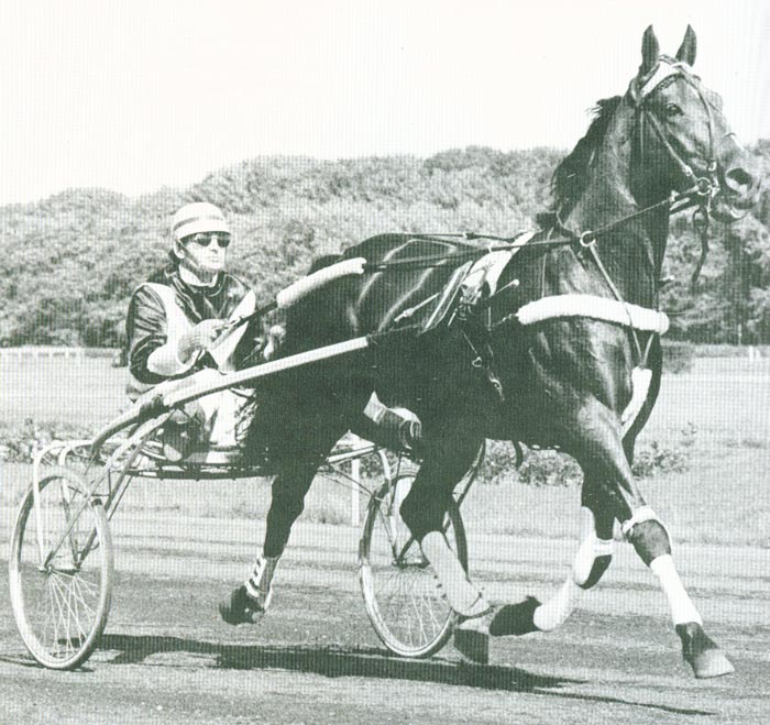 Gallant Way 3.jpg
