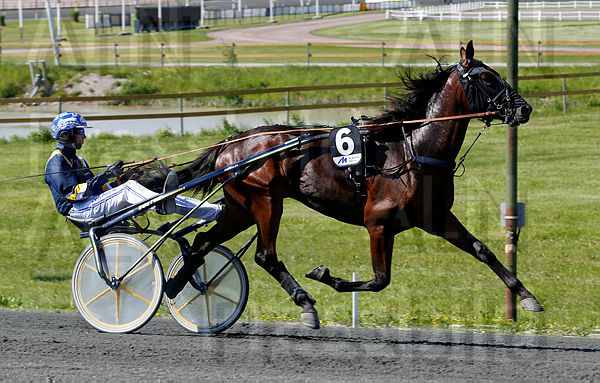 Digital Indy heat 1.t5ef10507.m600.w.4salnwmark2.png.xeRrmNgJw.jpg