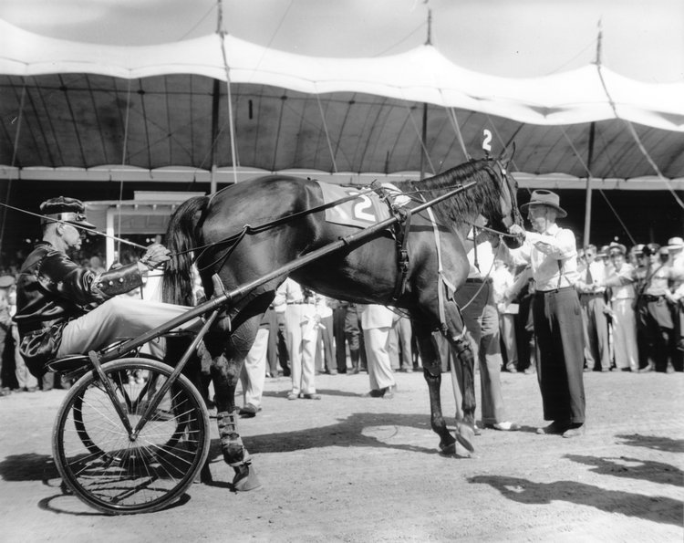 Goshen49_03.jpg