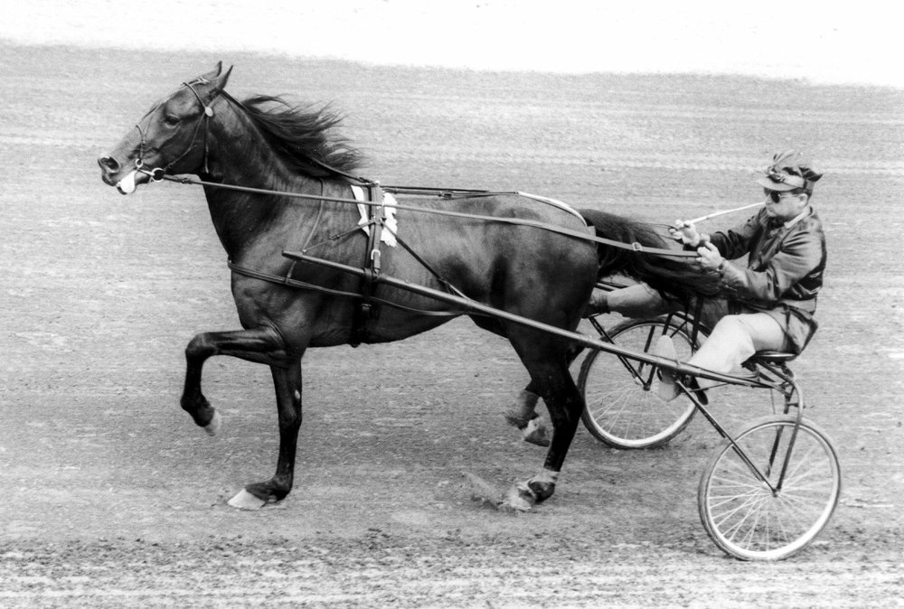48DEMONHANOVER1.jpg