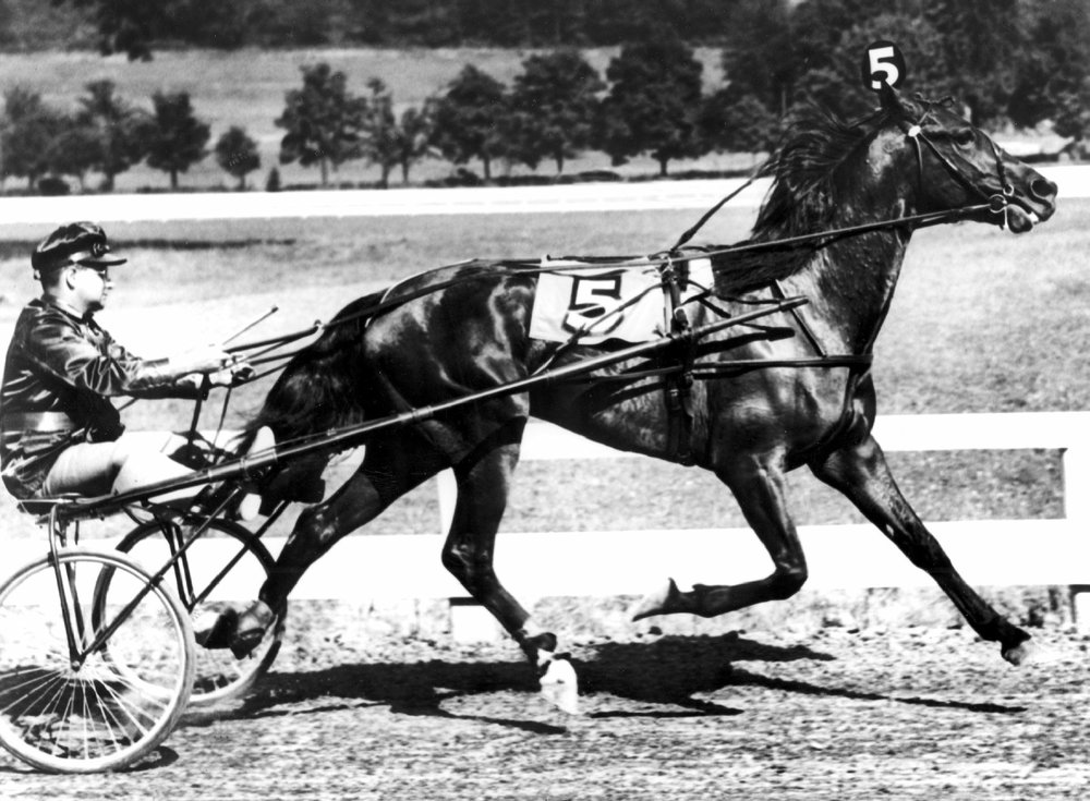 48DEMONHANOVER21.jpg