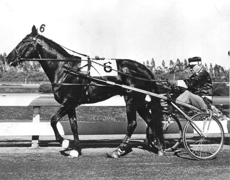 Goshen47_04.jpg