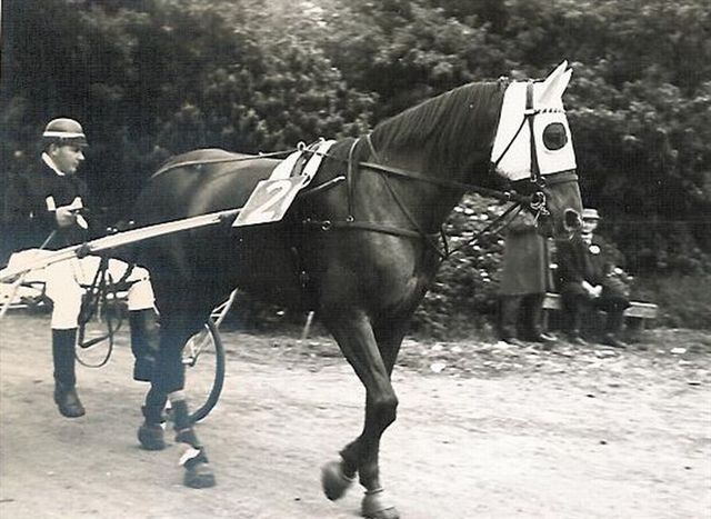 Zippora 01.jpg