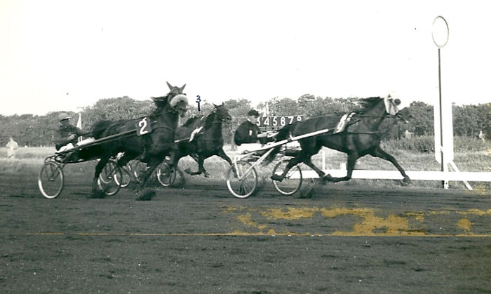 Zippora 9-9-62 (1).jpg