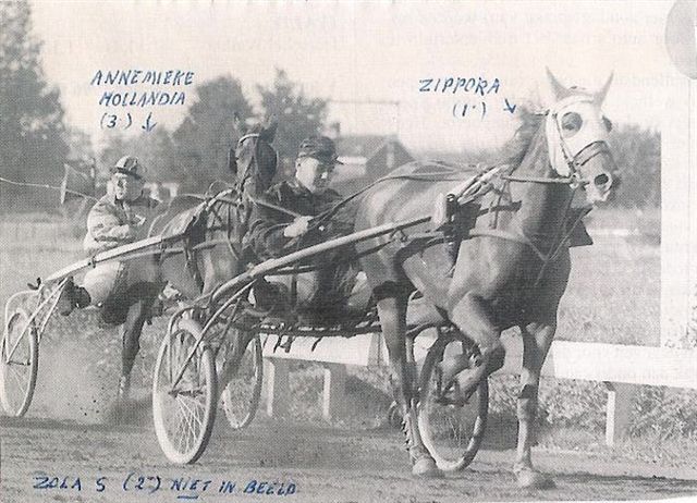 Zippora Crommelin 62.jpg