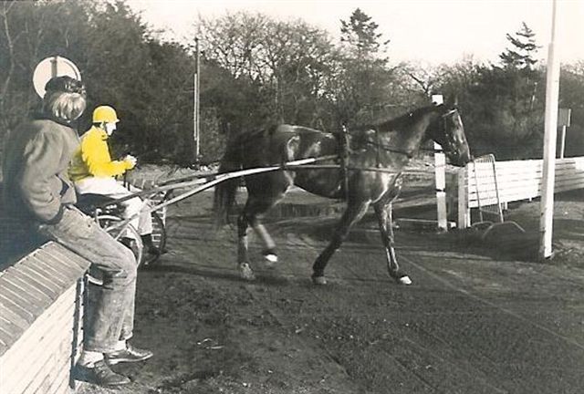 Yellow Six 02.jpg