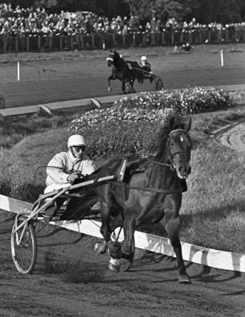 Yellow Six 13-10-1963.jpg