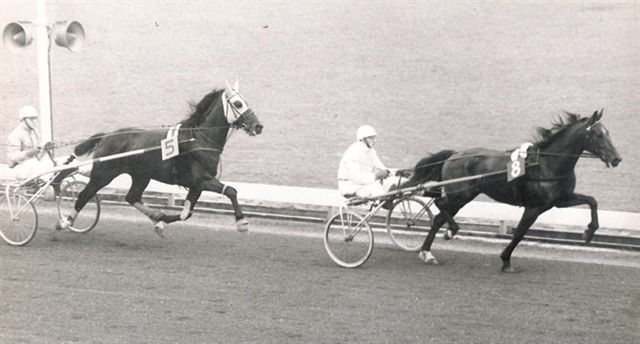 Yellow Six GP stayers 69.jpg