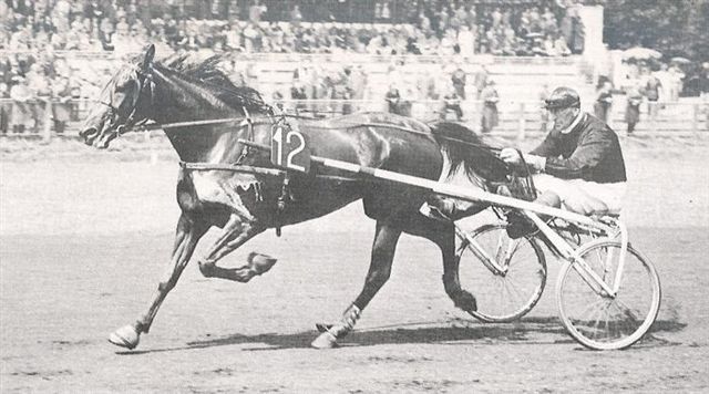 Urania Derby.jpg