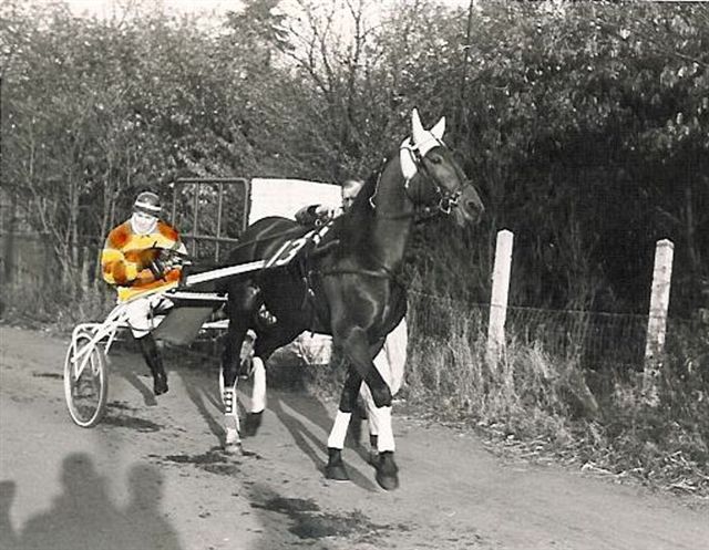 Walter Hollandia 01.jpg