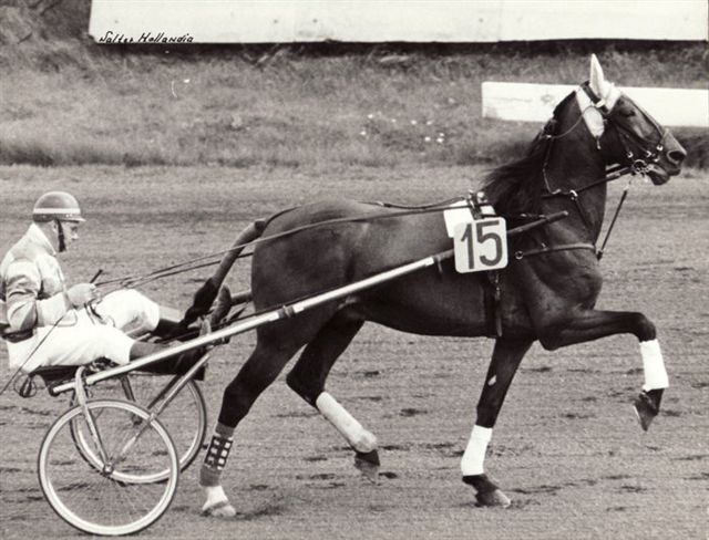 Walter Hollandia met Freek.jpg