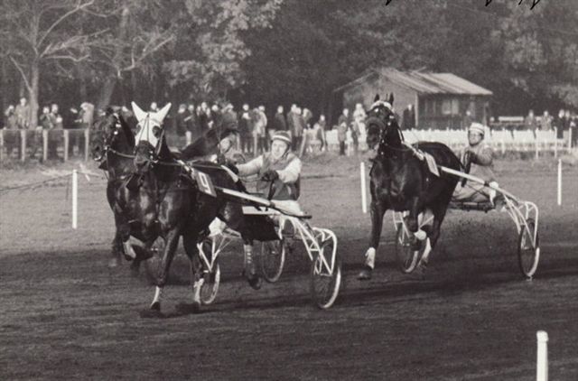 Walter Hollandia Stayersprijs 64.jpg