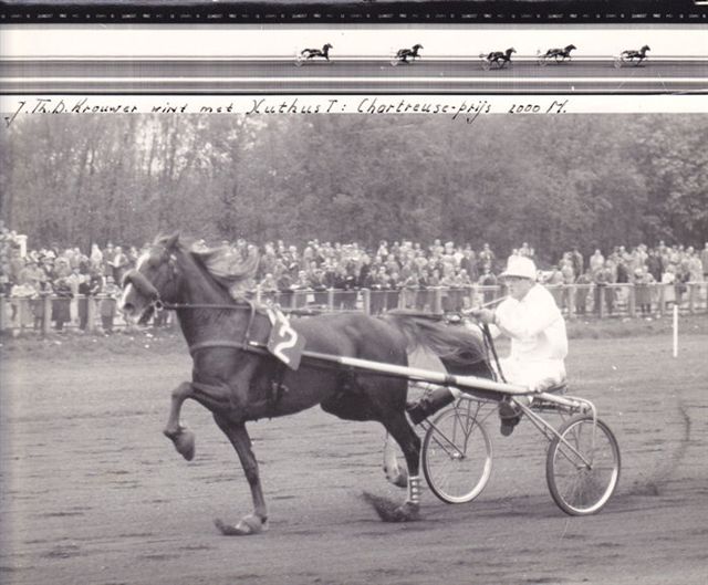 Xuthus T 13-5-62.jpg
