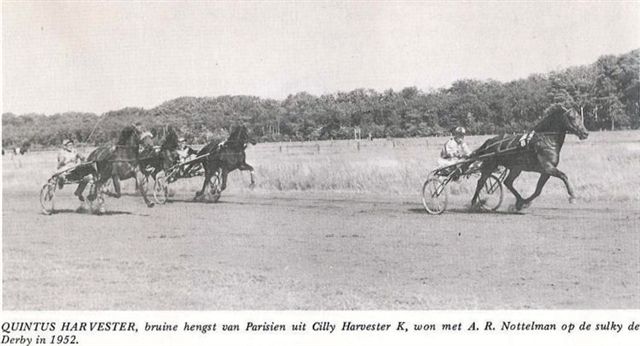Quintus Harvester Derby.jpg