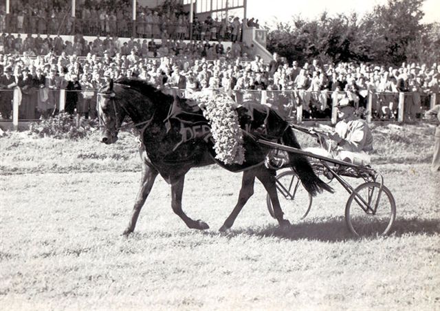 Quintus Harvester Derby ere.jpg